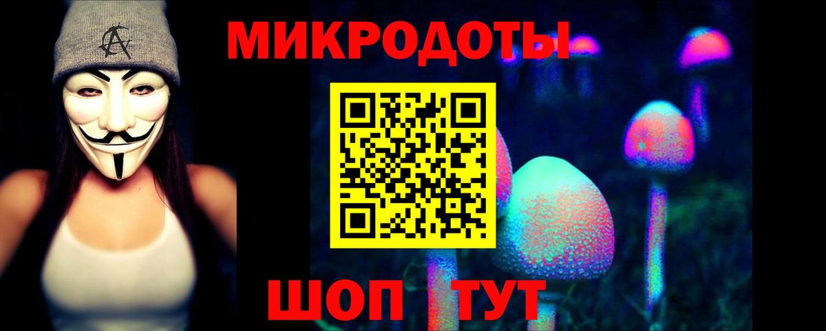 Галлюциногенные грибы Psilocybine cubensis Зима
